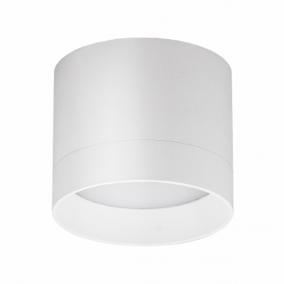 Светильник накладной SP010 белый