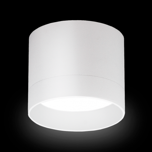 Светильник накладной SP010 белый