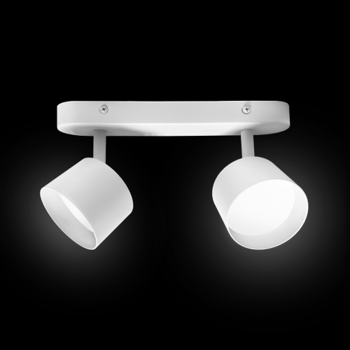 Светильник накладной SP016-2 белый