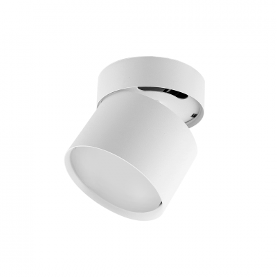 Светильник накладной поворотный SP017 белый